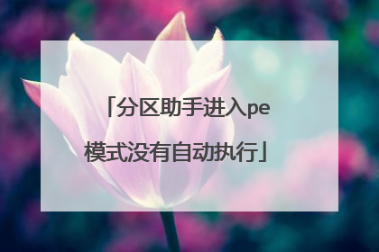 �������ֽ���peģʽû���Զ�ִ��