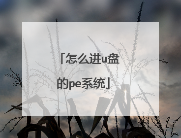 ��ô��u�̵�peϵͳ