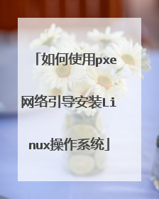 ���ʹ��pxe����������װLinux����ϵͳ