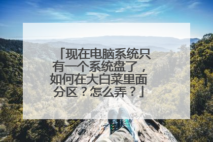 ���ڵ���ϵͳֻ��һ��ϵͳ���ˣ�����ڴ�ײ������������ôŪ��