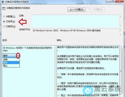 ѡ��������