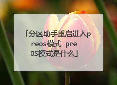 ����������������preosģʽ preOSģʽ��ʲô