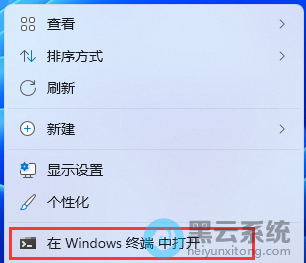 ѡ����Windows�ն��д�