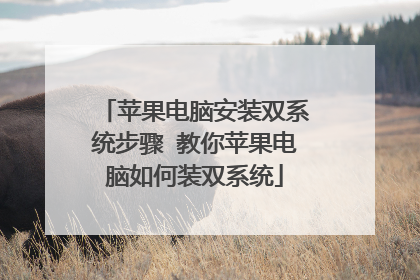 ƻ�����԰�װ˫ϵͳ���� ����ƻ���������װ˫ϵͳ