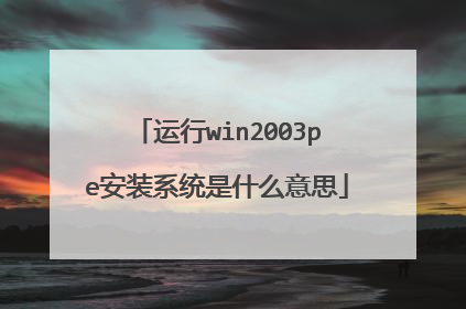 ����win2003pe��װϵͳ��ʲô��˼