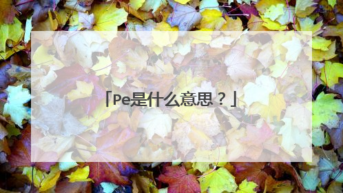 Pe��ʲô��˼��