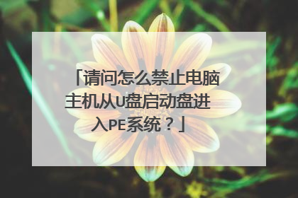 ������ô��ֹ����������U�������̽���PEϵͳ��