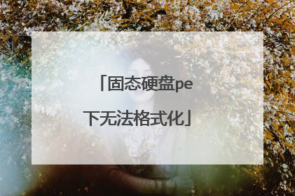 ��̬Ӳ��pe���޷���ʽ��