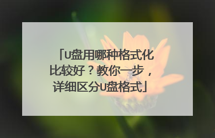 U�������ָ�ʽ���ȽϺã�����һ������ϸ����U�̸�ʽ