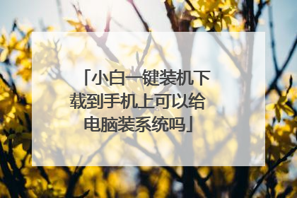 小白一键装机下载到手机上可以给电脑装系统吗