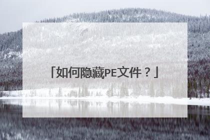 �������PE�ļ���