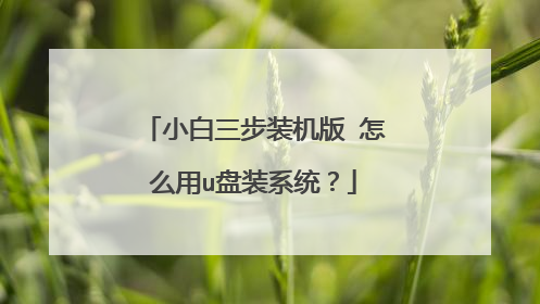 小白三步装机版 怎么用u盘装系统?
