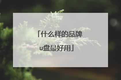 ʲô����Ʒ��u�������