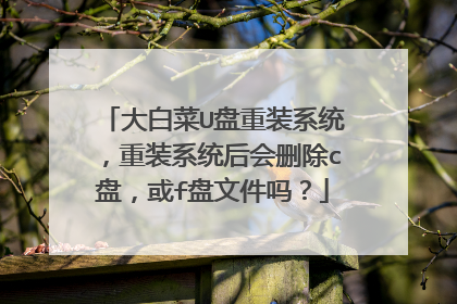 ��ײ�U����װϵͳ����װϵͳ���ɾ��c�̣���f���ļ���