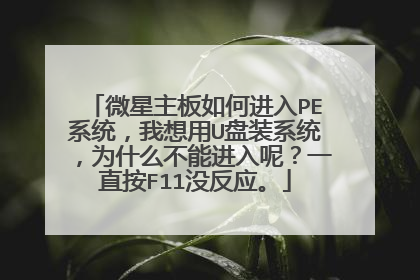΢��������ν���PEϵͳ��������U��װϵͳ��Ϊʲô���ܽ����أ�һֱ��F11û��Ӧ��