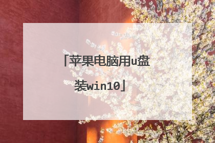 ƻ��������u��װwin10