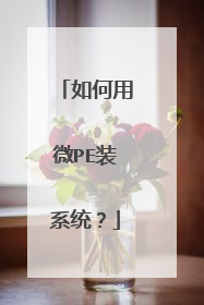 �����΢PEװϵͳ��