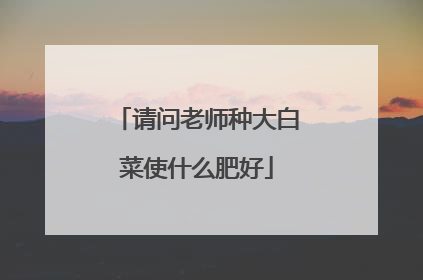 ������ʦ�ִ�ײ�ʹʲô�ʺ�