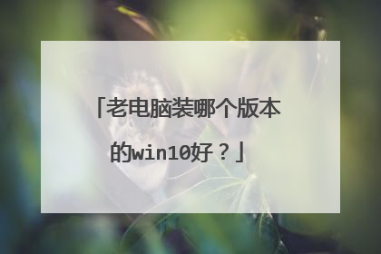 �ϵ���װ�ĸ��汾��win10�ã�