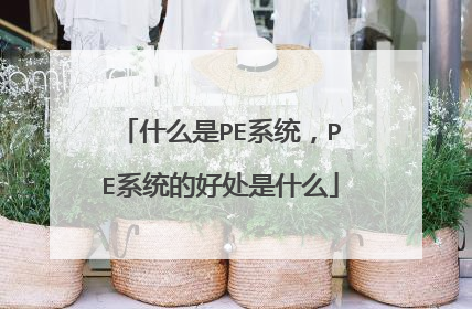 ʲô��PEϵͳ��PEϵͳ�ĺô���ʲô