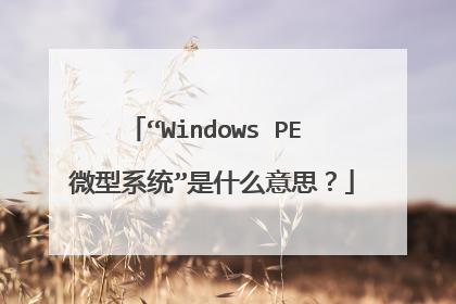 ��Windows PE ΢��ϵͳ����ʲô��˼��