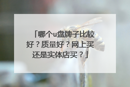 哪个u盘牌子比较好?质量好?网上买还是实体店买?