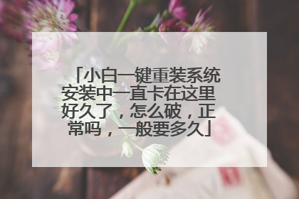 小白一键重装系统安装中一直卡在这里好久了,怎么破,正常吗,一般要多久