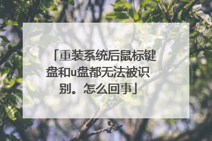 ��װϵͳ�������̺�u�̶��޷���ʶ����ô����