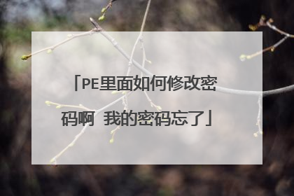 PE��������޸����밡 �ҵ���������