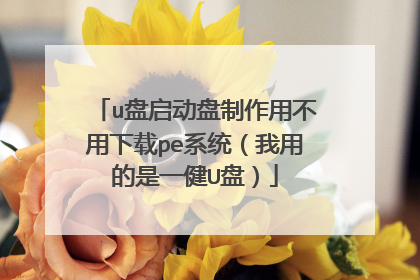 u�������������ò�������peϵͳ�����õ���һ��U�̣�