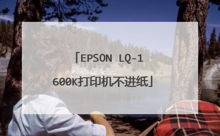 EPSON LQ-1600K��ӡ������ֽ