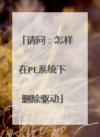 ���ʣ�������PEϵͳ��ɾ������