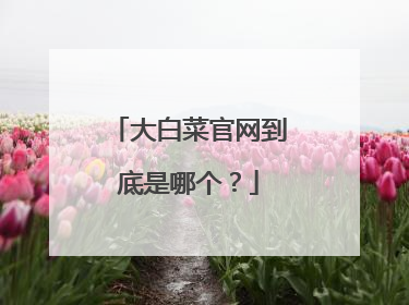 ��ײ˹����������ĸ���