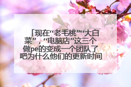 ���ڡ���ë�ҡ�����ײˡ��������Եꡱ��������pe�ı��һ���Ŷ��˰�Ϊʲô���ǵĸ���ʱ����ô��������