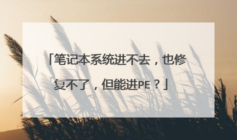 �ʼǱ�ϵͳ����ȥ��Ҳ�޸����ˣ����ܽ�PE��