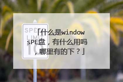 ʲô��windowsPE�̣���ʲô���������е��£�