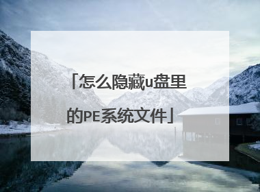 ��ô����u�����PEϵͳ�ļ�