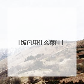 ������ʲô��Ҷ