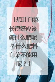 ���ðײ˳��ú�Ӧ��ʩʲô���أ�ʲô���ϰײ˲������أ�