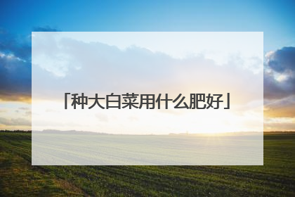 种大白菜用什么肥好