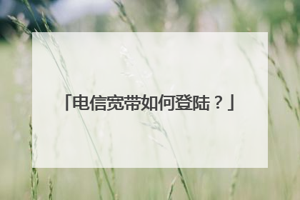 ���ſ�����ε�½��