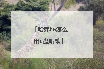 ����h6��ô��u������