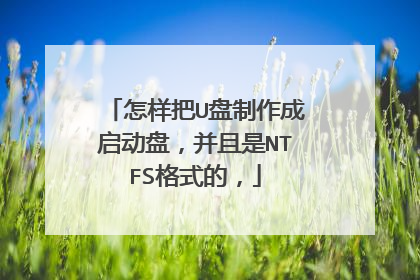 ������U�������������̣�������NTFS��ʽ�ģ�