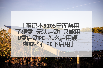 �ʼǱ�BIOS���������Ӳ�� �޷����� ֻ����U������PE ��ô����Ӳ�̻�����PE������