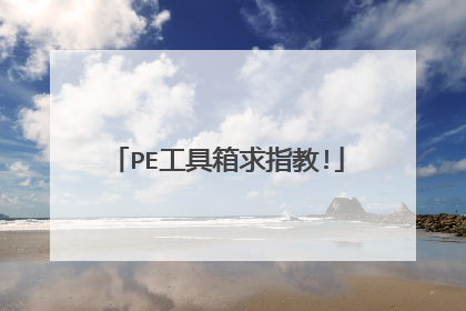 PE��������ָ��!