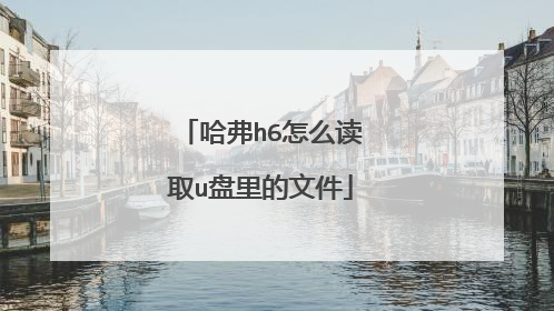 哈弗h6怎么读取u盘里的文件