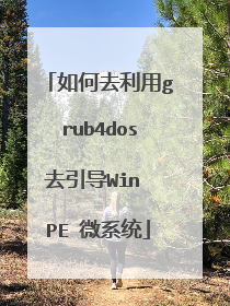 ���ȥ����grub4dosȥ����Win PE ΢ϵͳ