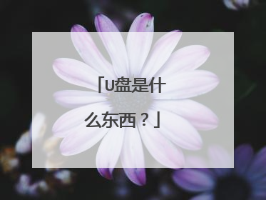 U����ʲô������