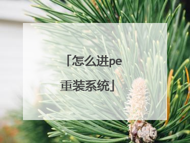 怎么进pe重装系统