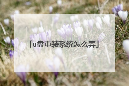 u����װϵͳ��ôŪ